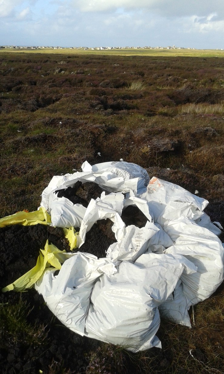 032C864E-8D6B-4B7A-BF13-83D1117D901E