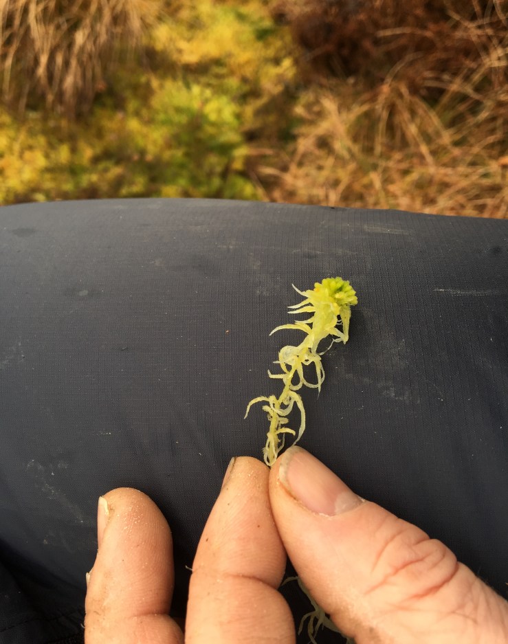 8D11BE98-CA1C-4B79-A677-9CDBB436F5BC