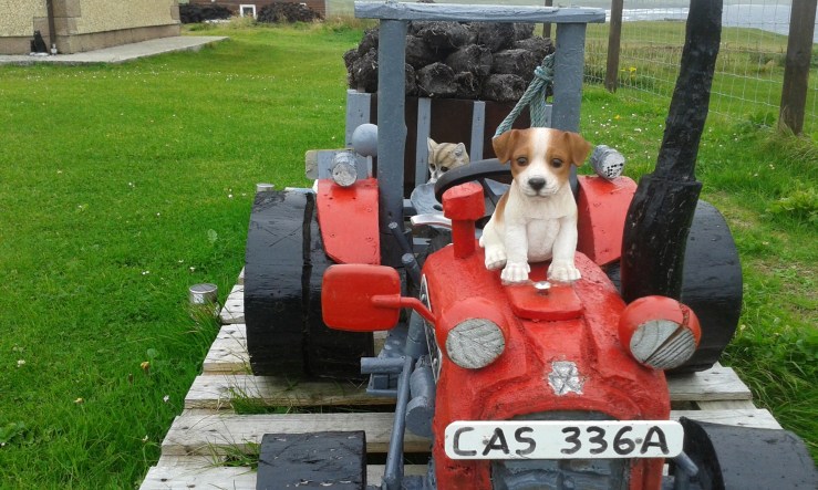 CCD7DE99-D991-422F-93D8-1C6FE943CC69