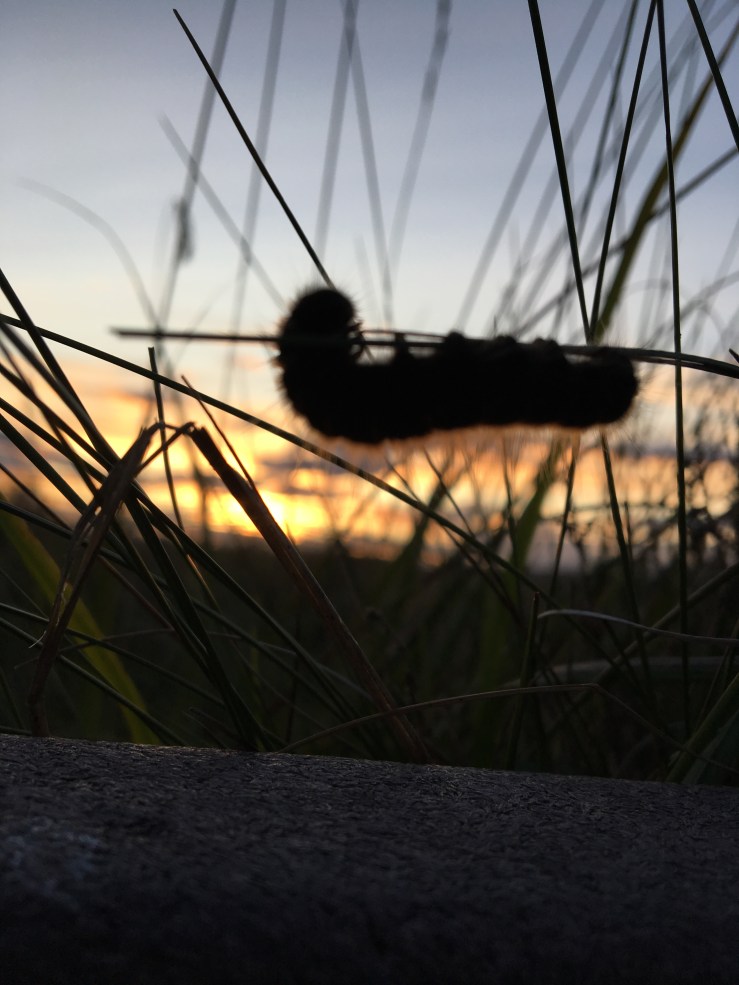 E937619E-A556-4E3E-90AE-CB4AFBEFF2F4