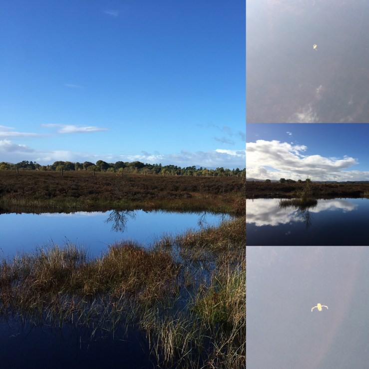 AA2B9378-82AD-4252-A215-AFAEF6B79B01